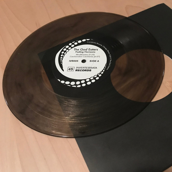 Fading Horizons vinyl